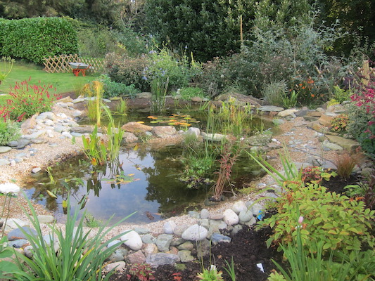 garden pond
